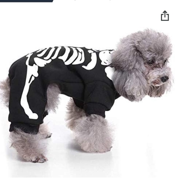 Dog Skeleton Costume For Medium Size Dog Poshmark